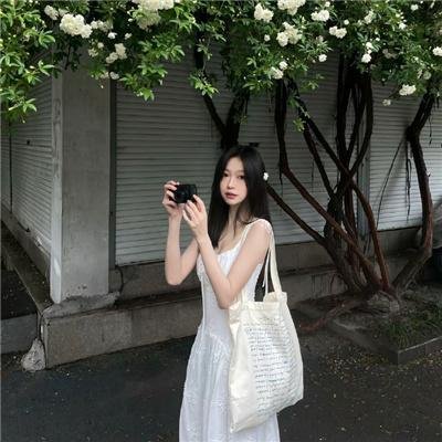 私人手段